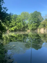 Steinbruch (Wittgensdorf)-3