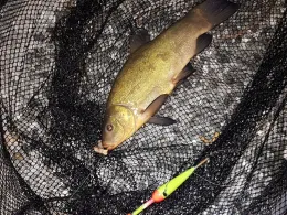 Steinbruch (Wittgensdorf)-2