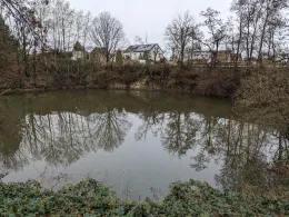 Steinbruch (Wittgensdorf)-4