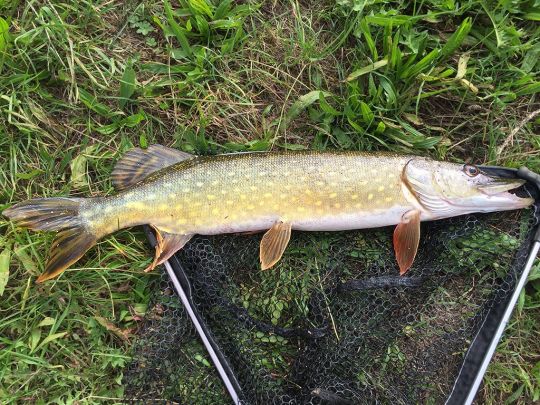 Hinter Tief (Emden)-1