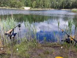 Waldsee Groß Düben-1