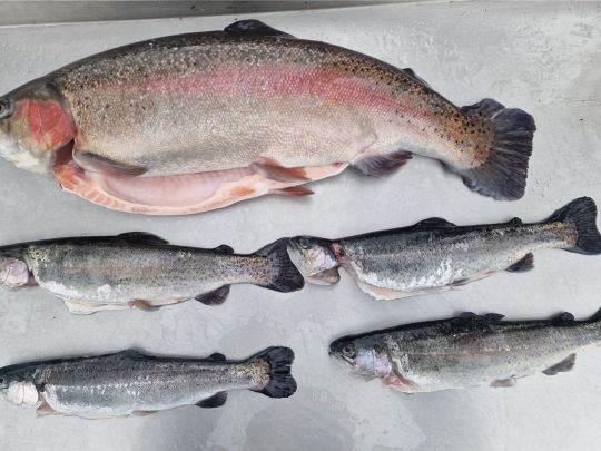 Alter Fischereihof Oelzschau-2