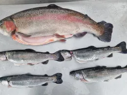 Alter Fischereihof Oelzschau-2