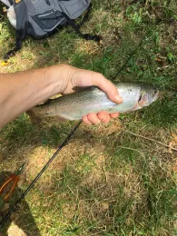 Wildgehege-Teiche Willebadessen-2