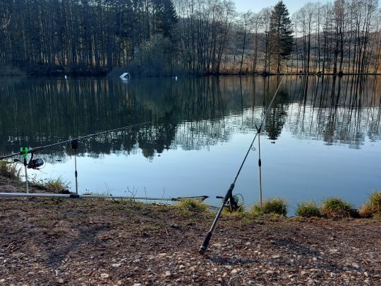 Wildgehege-Teiche Willebadessen-3