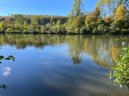 Wildgehege-Teiche Willebadessen-4