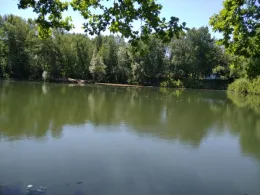 Ziegeleiteich (Klein Kölzig)