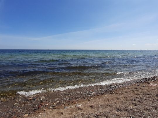 Ostsee (Schleimünde) angeln