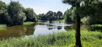 Hans-Marquart-Teich-1