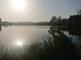 Teich Wilke (Horneburg)