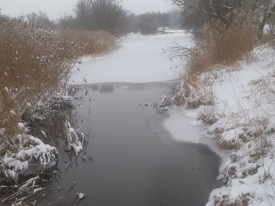 Spittelwasser (Jeßnitz)-3