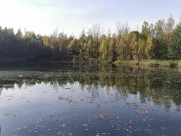 Bubendorfer Löscher