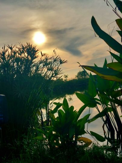 Hookers Fishing Lake Pattaya-1