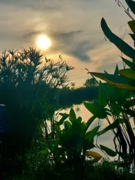 Hookers Fishing Lake Pattaya-1