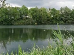 Ziegeleiteich (Stadthagen)