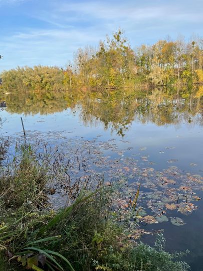 Ziegeleiteich (Stadthagen)-3