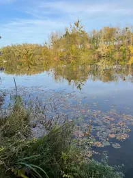 Ziegeleiteich (Stadthagen)-3