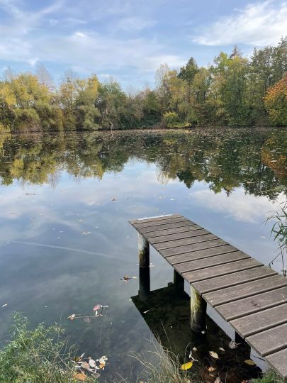 Ziegeleiteich (Stadthagen)-2