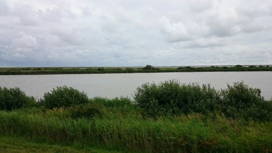 Baggerkuhle Sylt-3