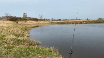 Elbe (Neu-Darchau)-4