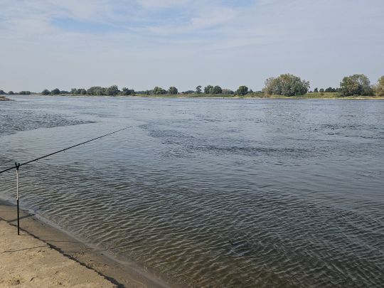 Elbe (Neu-Darchau)-3