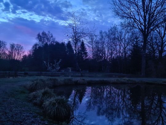 Angelpark Remmesweiler-3