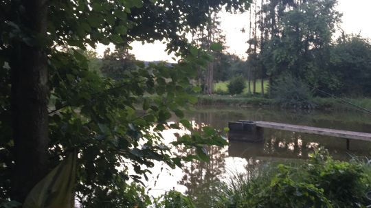 Angelpark Remmesweiler angeln