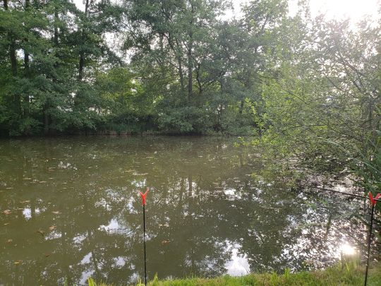 Lindenthaler Teich (Gardelegen)-3