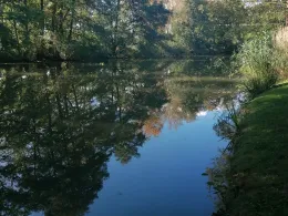 Lindenthaler Teich (Gardelegen)-1