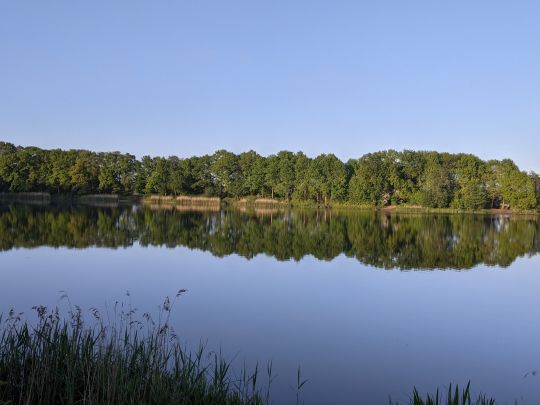 Funkturmsee (Pinneberg)-4