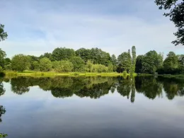 Schlossweiher Göppmannsbühl-1