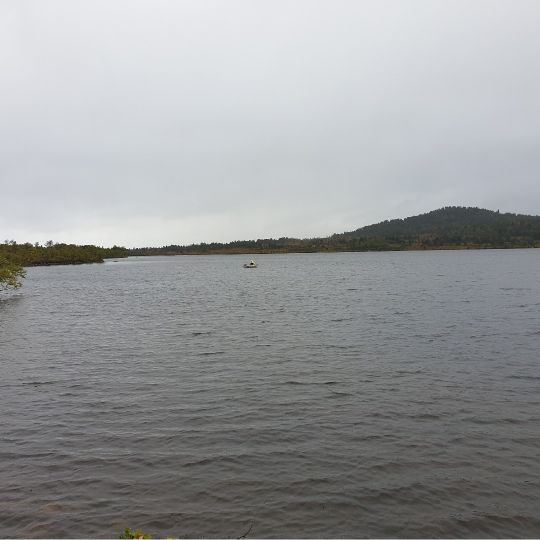 Herjevatnet