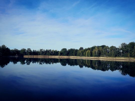 Großer Schindelteich (Röhrsdorf)-1