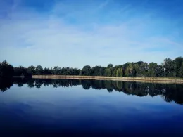 Großer Schindelteich (Röhrsdorf)-1