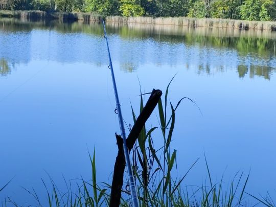 Großer Schindelteich (Röhrsdorf)-4