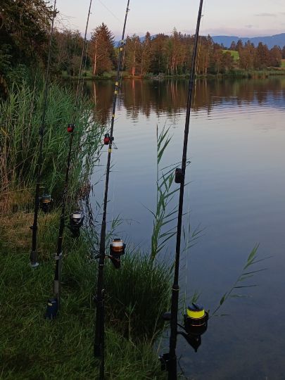 Schmuttersee (Roßhaupten)-4