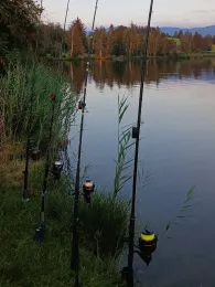 Schmuttersee (Roßhaupten)-4