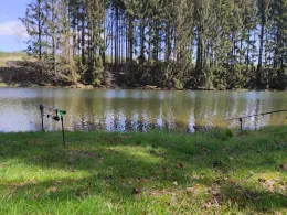 Mühlteich (Brand-Erbisdorf)-2