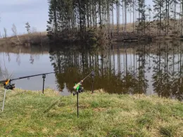 Mühlteich (Brand-Erbisdorf)-1