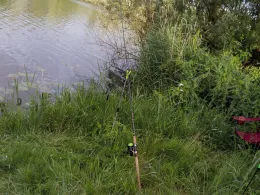 Eider (Dellstedt-Wrohm)-1