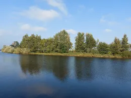 Eider (Dellstedt-Wrohm)-2