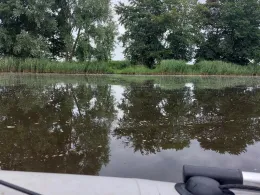 Eider (Dellstedt-Wrohm)-3