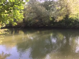 Günz (Ichenhausen)-1