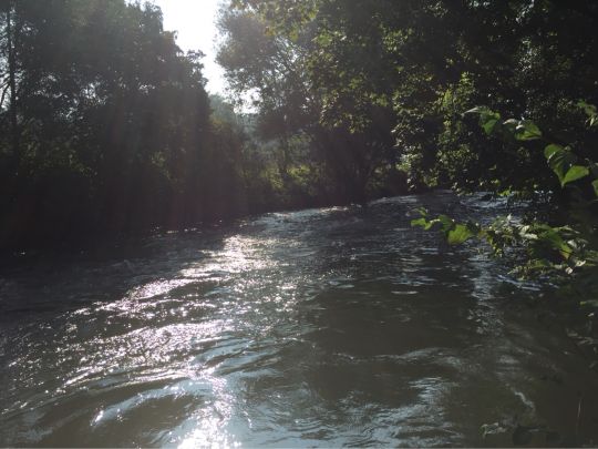 Günz (Ichenhausen)-2