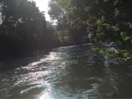 Günz (Ichenhausen)-2