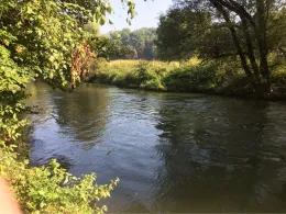 Günz (Ichenhausen)-3