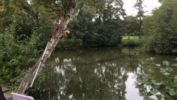 Patjensteich (Stade)-1