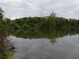 Vollmersee (Elchingen)-1