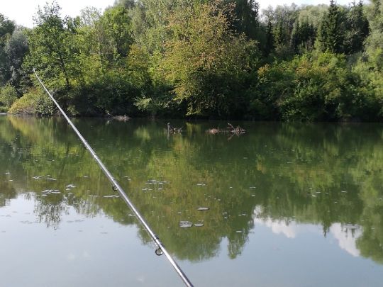 Vollmersee (Elchingen) angeln