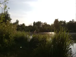 Vollmersee (Elchingen)-4